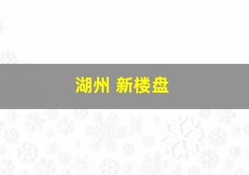 湖州 新楼盘